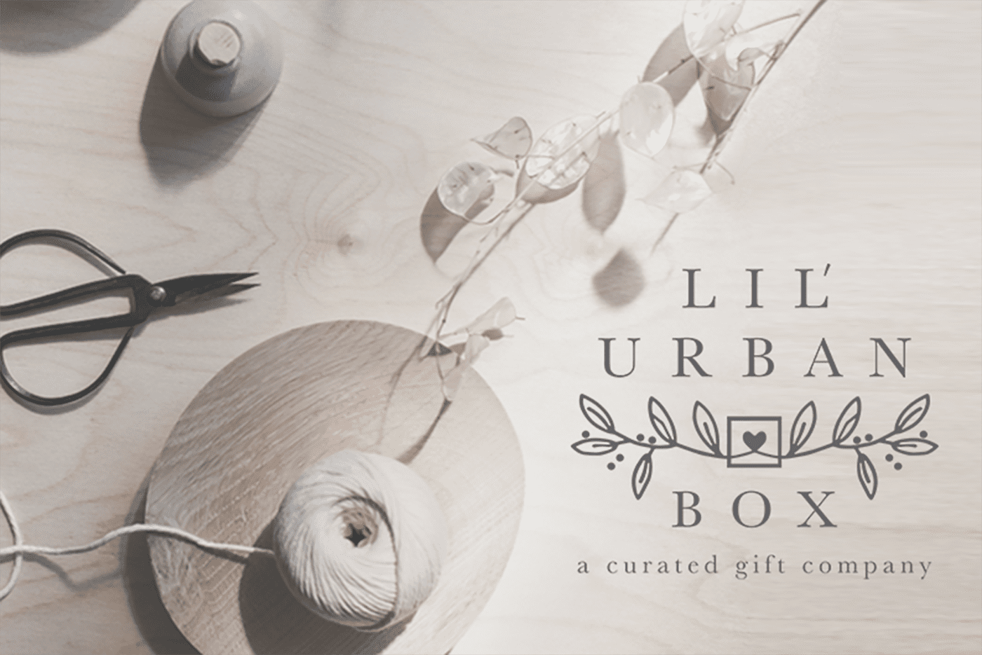 lil urban box, branding, logo, graphic design, Wordpress, Shopify
